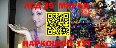 гидра Брянск