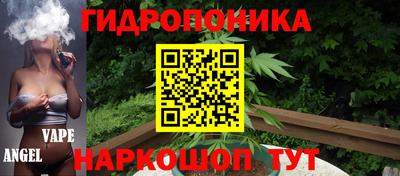 гидра Брянск