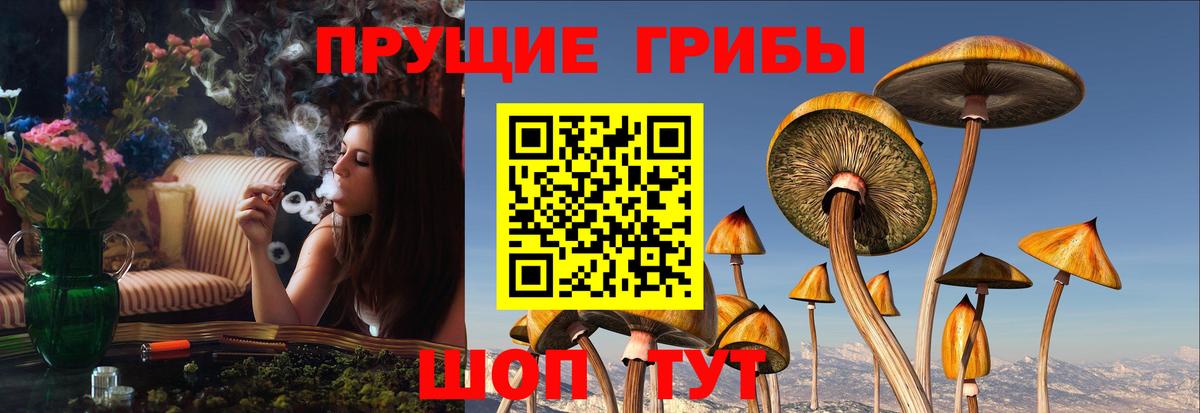 Галлюциногенные грибы мицелий  Вход с VPN  Зеленодольск 